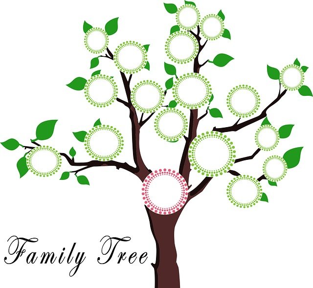 build your family tree with Ancestry.com coupons